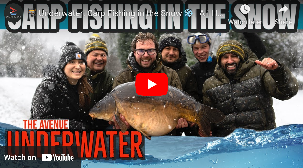 🤿 Underwater: Carp Fishing in the Snow ❄️ | Ali Hamidi | One More Cast