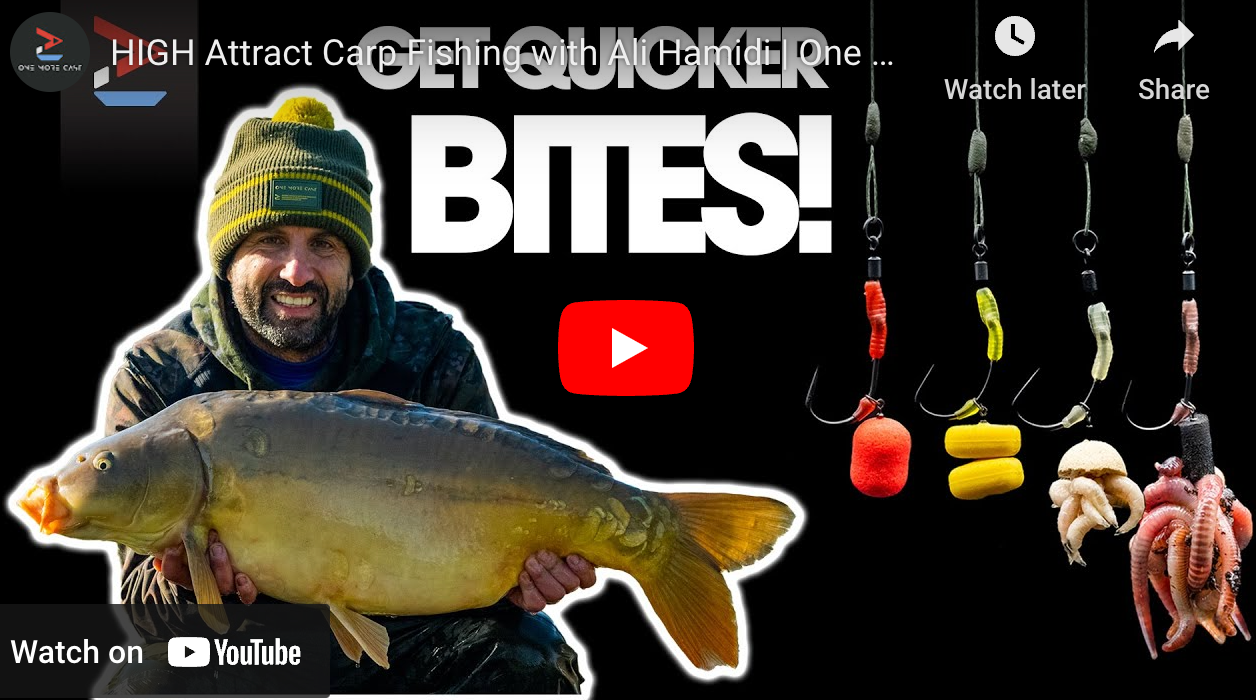 HIGH Attract Carp Fishing with Ali Hamidi | One More Cast | Carp Fishing