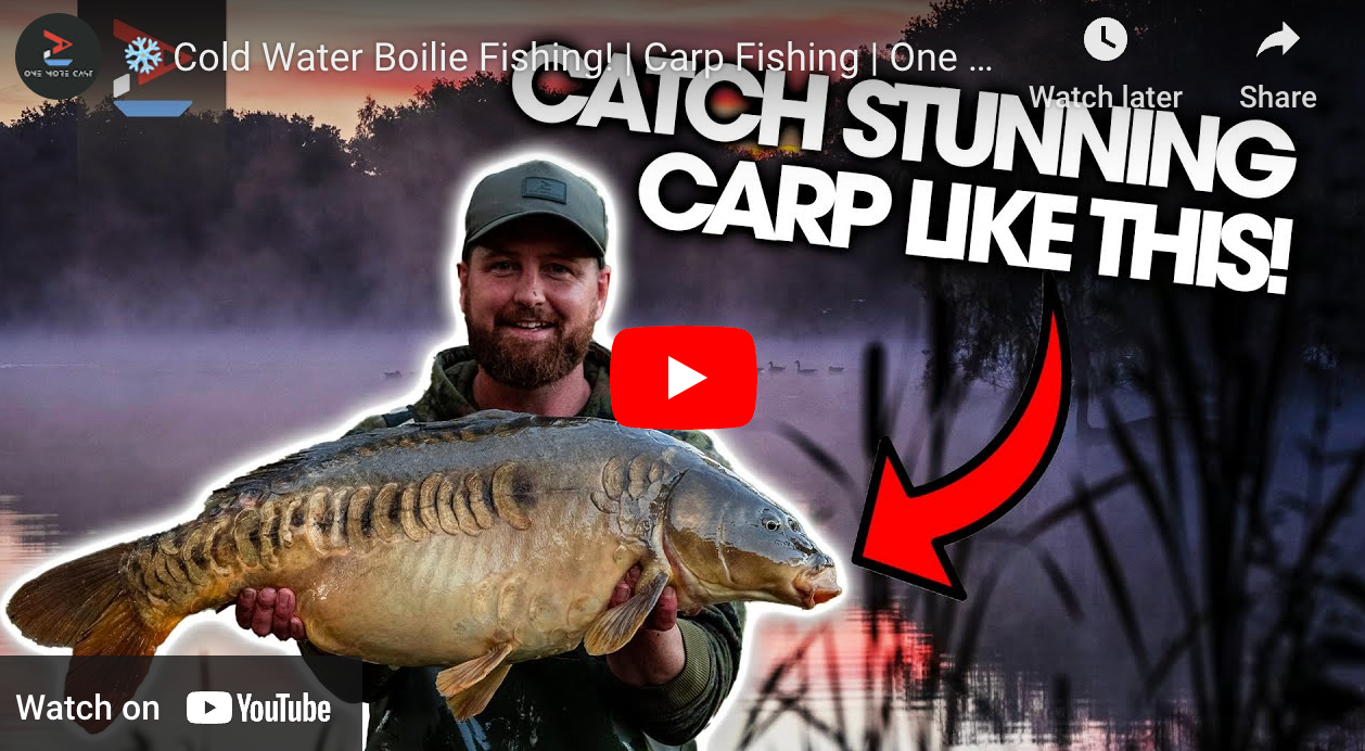 ❄️ Cold Water Boilie Fishing! | Carp Fishing | One More Cast