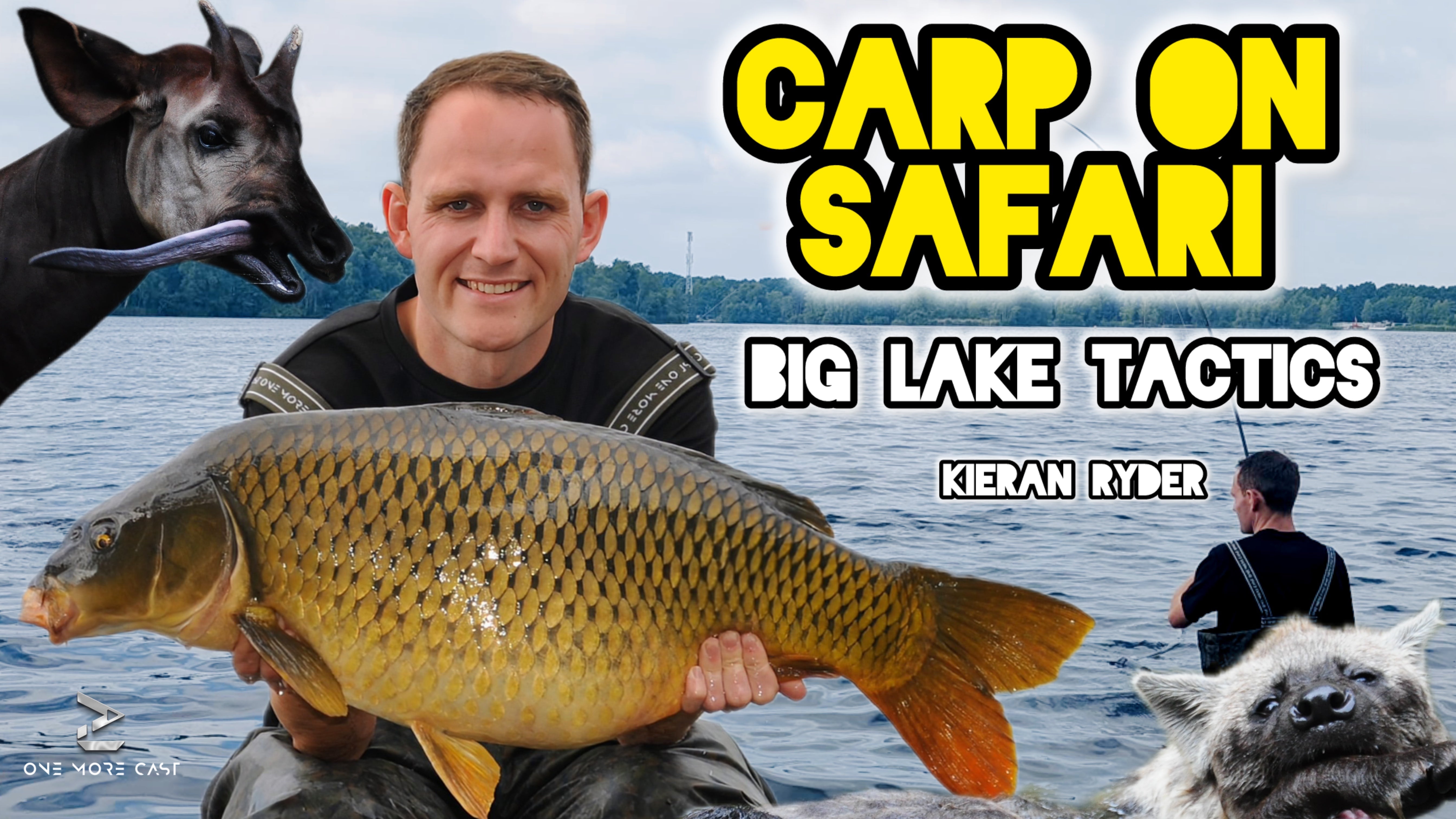 carp fishing holland holiday