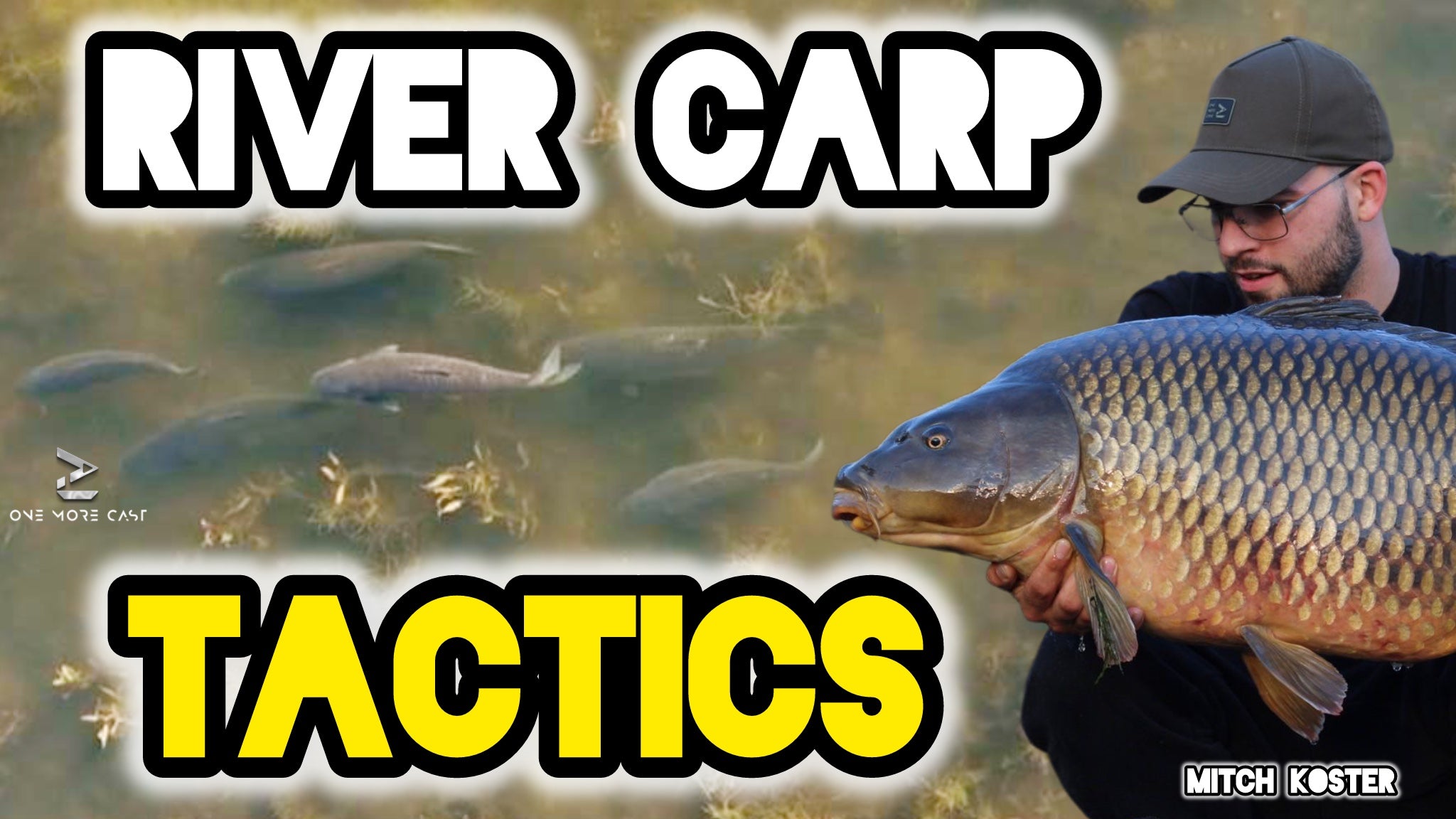 River Carp Fishing Tactics Mitch Koster