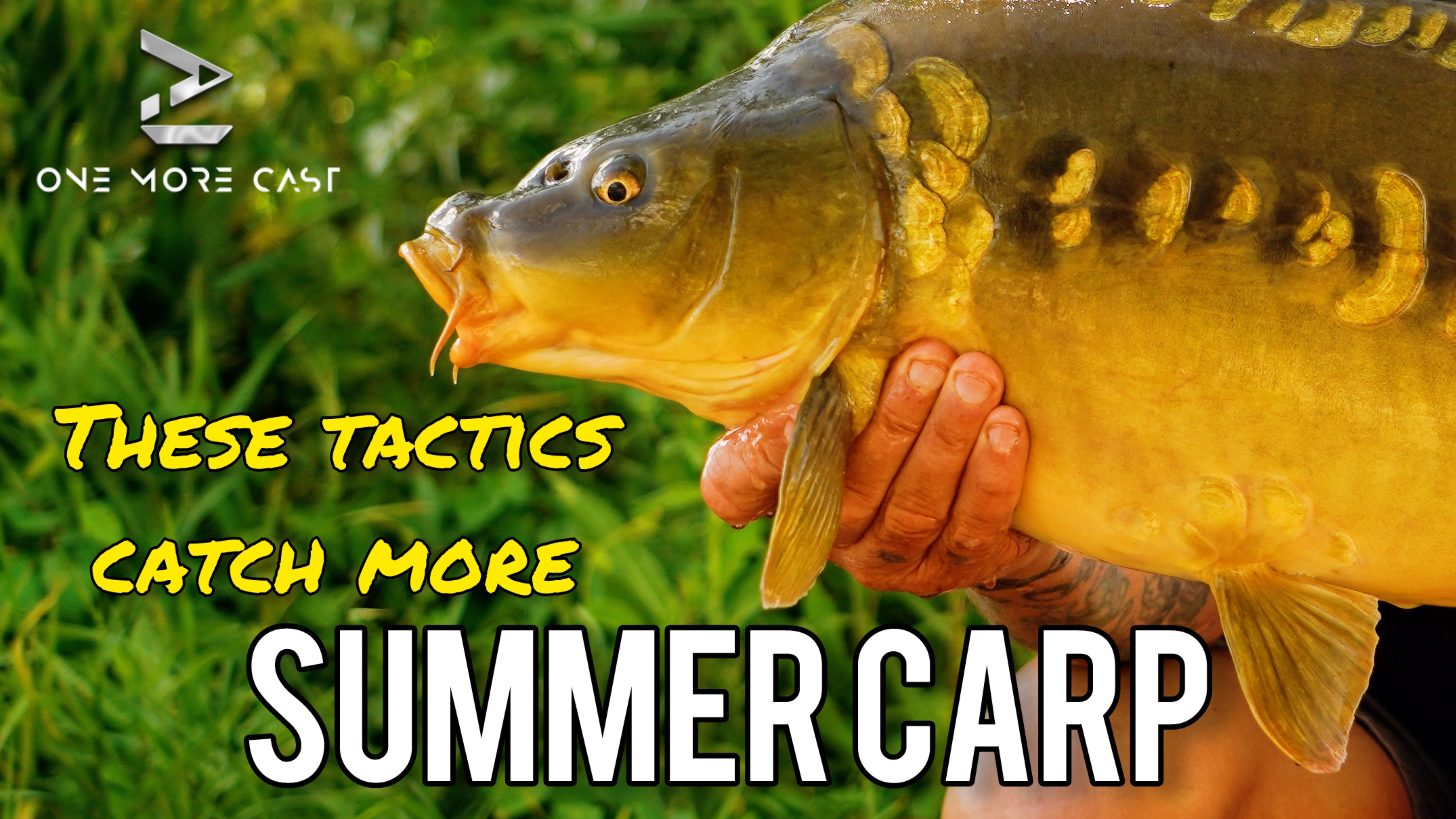 summer carp fishing tips