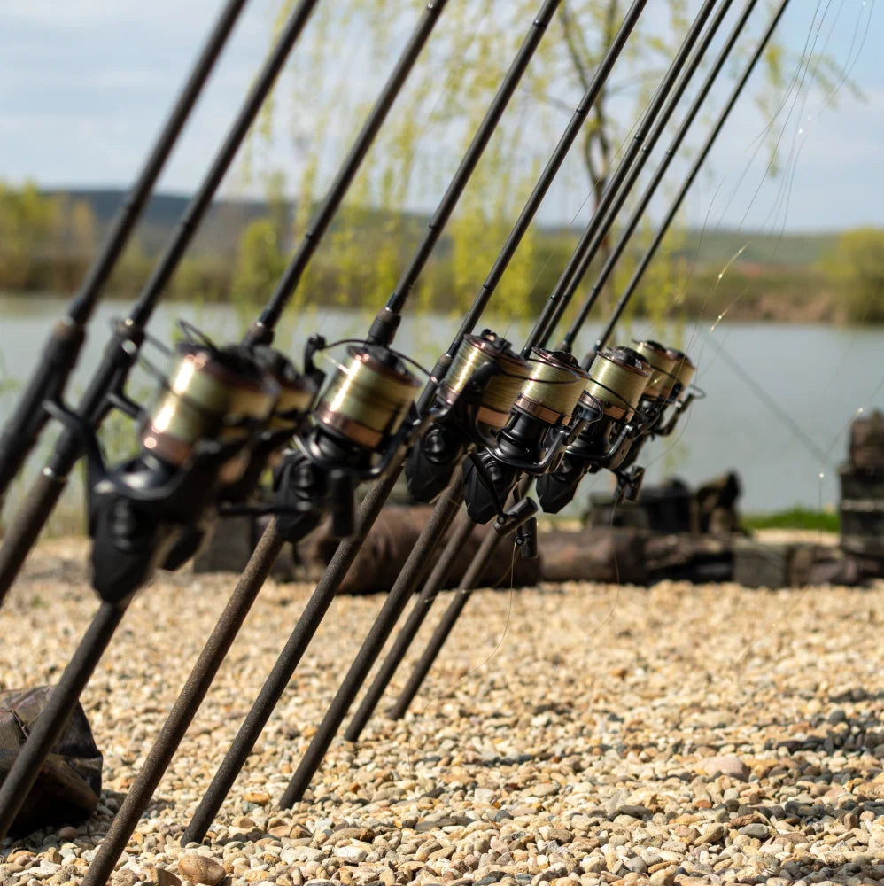 Rods & Reels