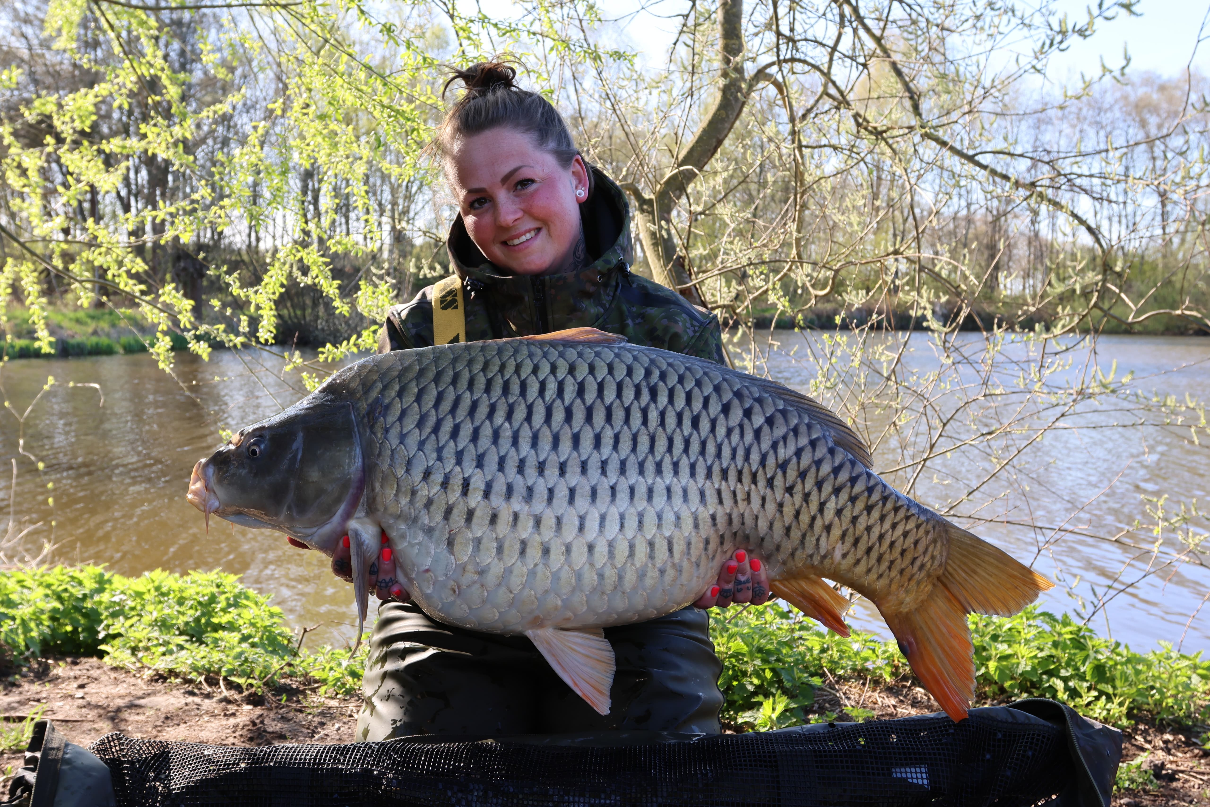 iScream Stabilised Boilies 1kg