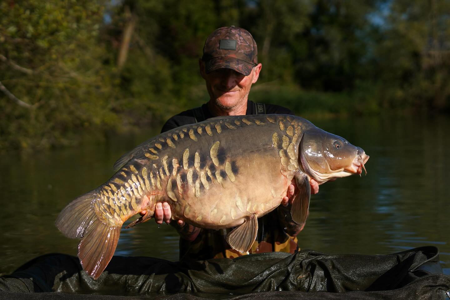 BULK BOILIES DEAL SAVING SAVE ISCREAM PAELLA OMC ONE MORE CAST