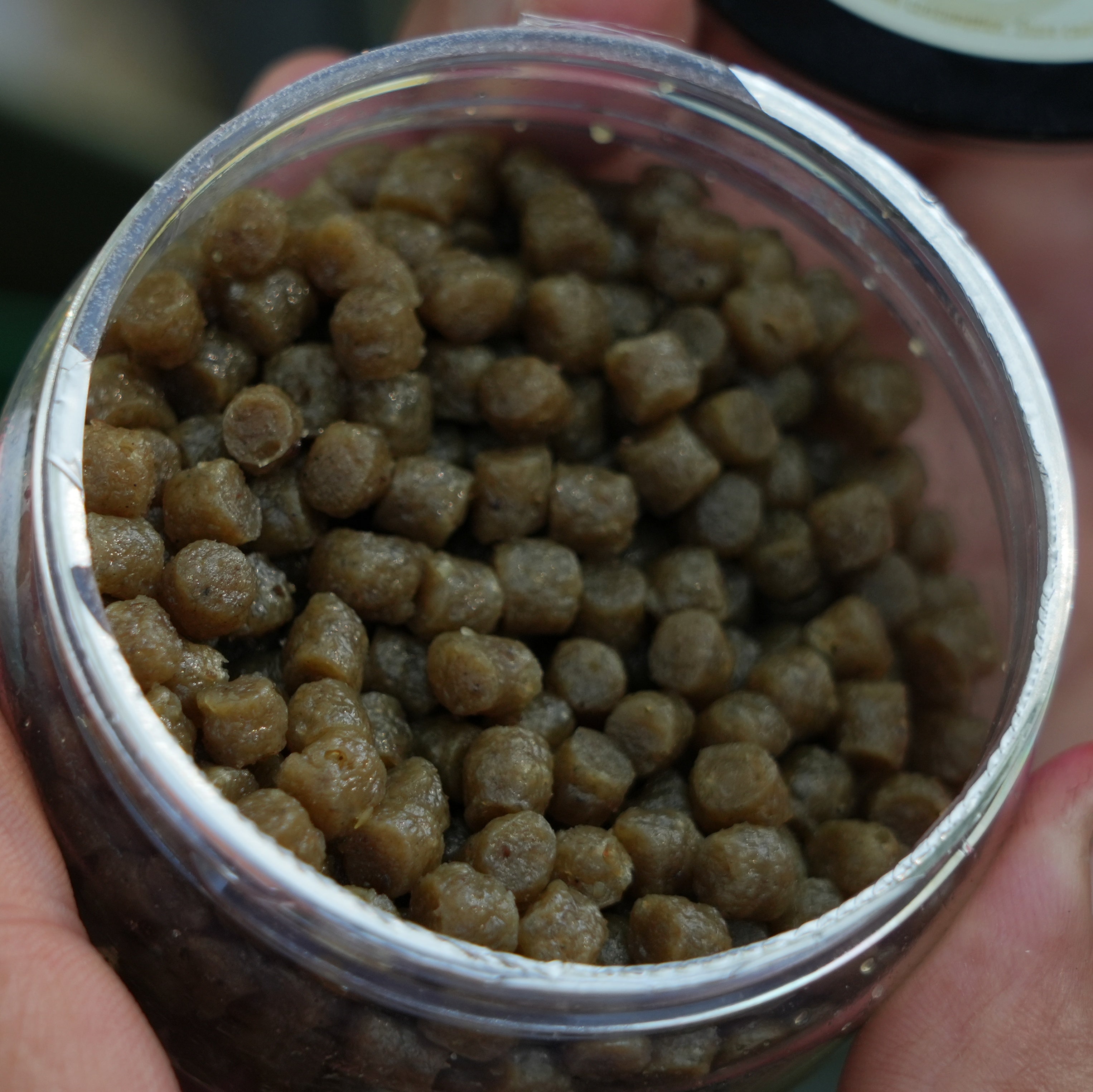 OMC FC iScream 6mm Soft Hookers