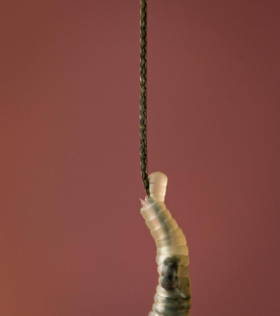 AMMO Camo Braided Hooklink