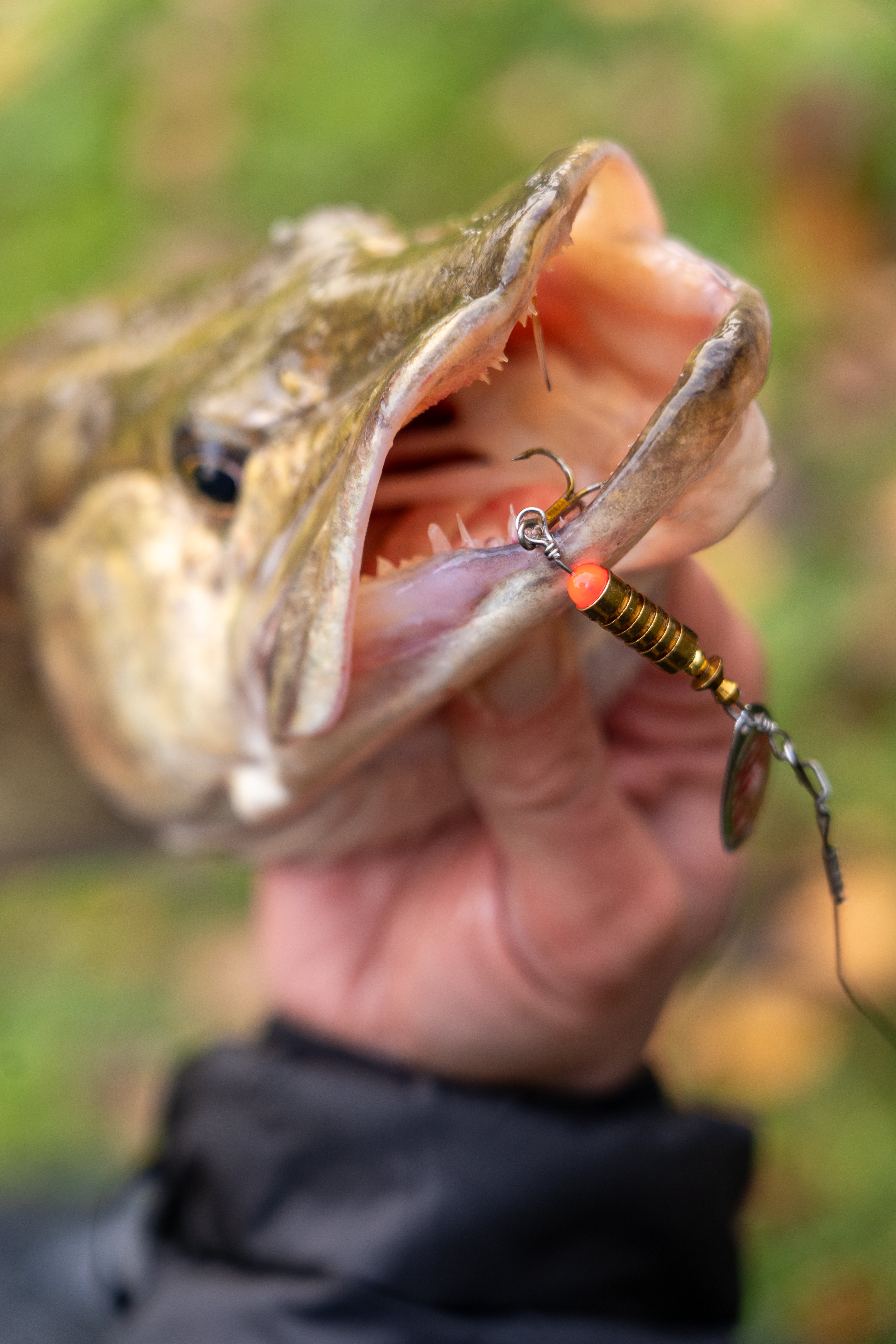 OMC FC LURE SPIN JIG COMBO SPINNER SPINNING KITS TACKLE BOX FORCEPS WIRE TRACE ONE MORE CAST