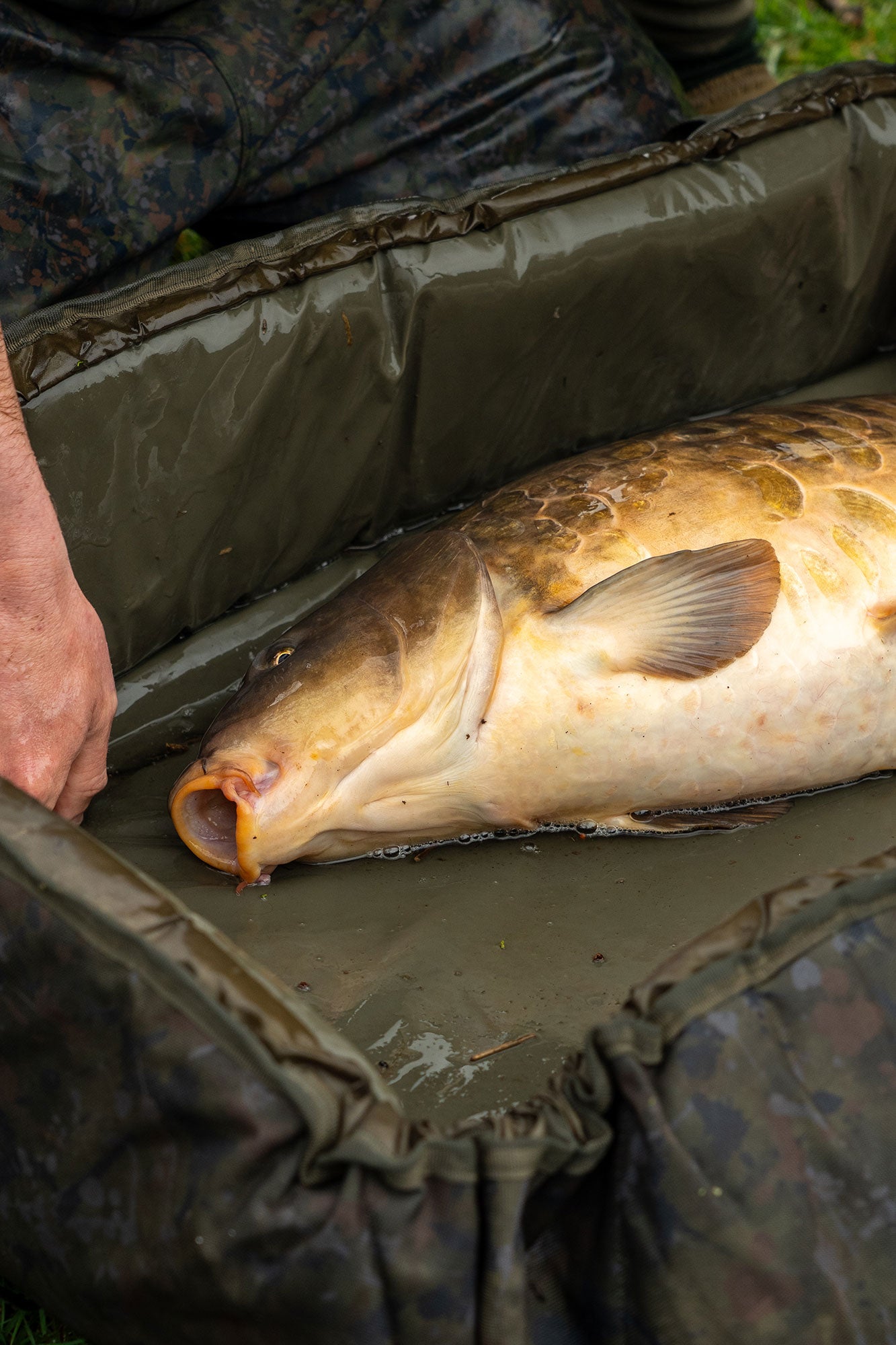 OMC HEIST PB ROLL MAT ONE MORE CAST UNHOOKING CRADLE CARP
