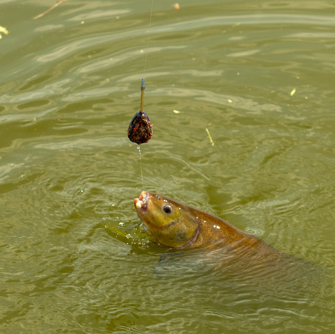 OMC FC Feeder Rod Reel Combo One More Cast First Cast