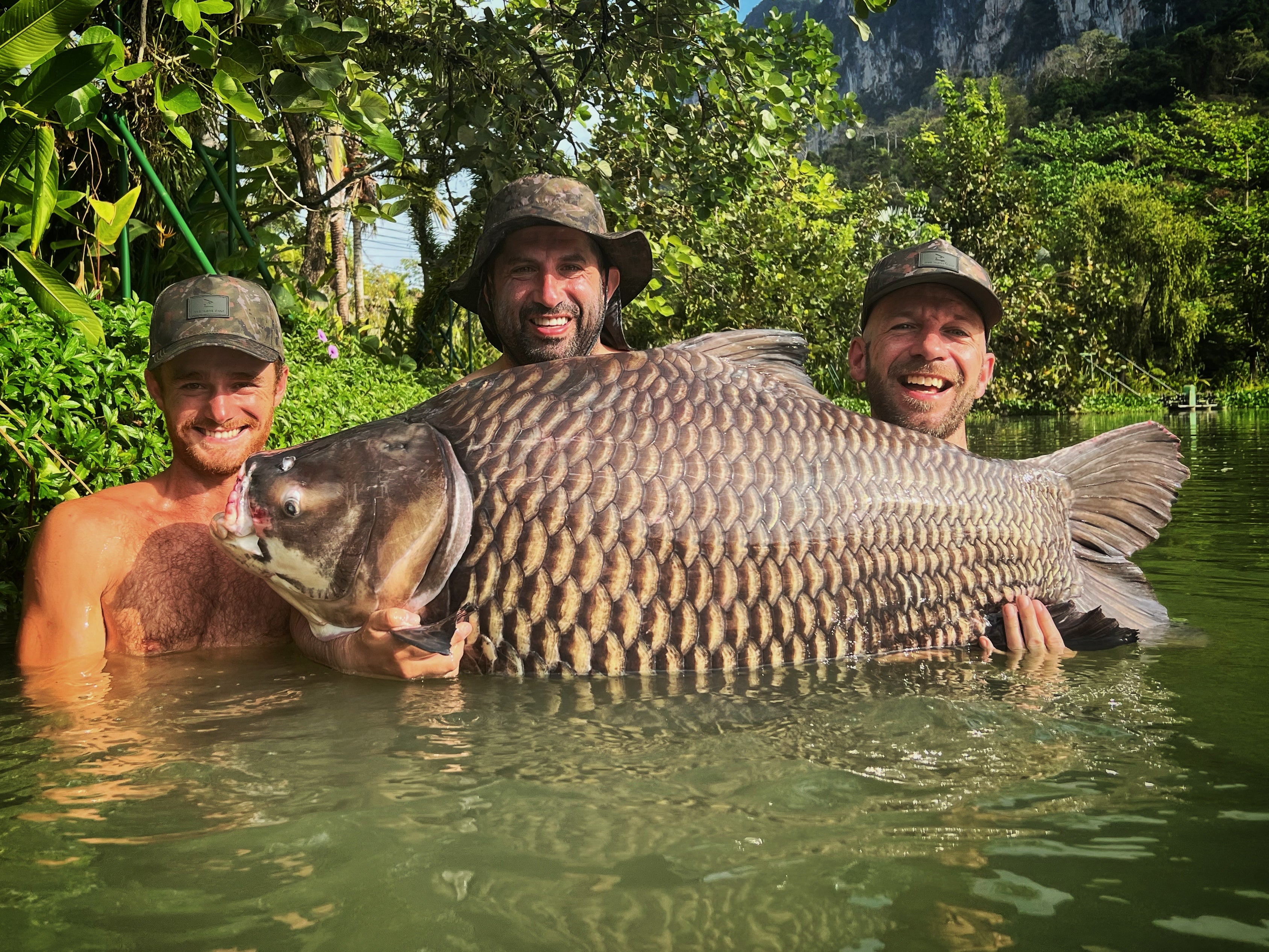 OMC Thailand Big Beast Bundle