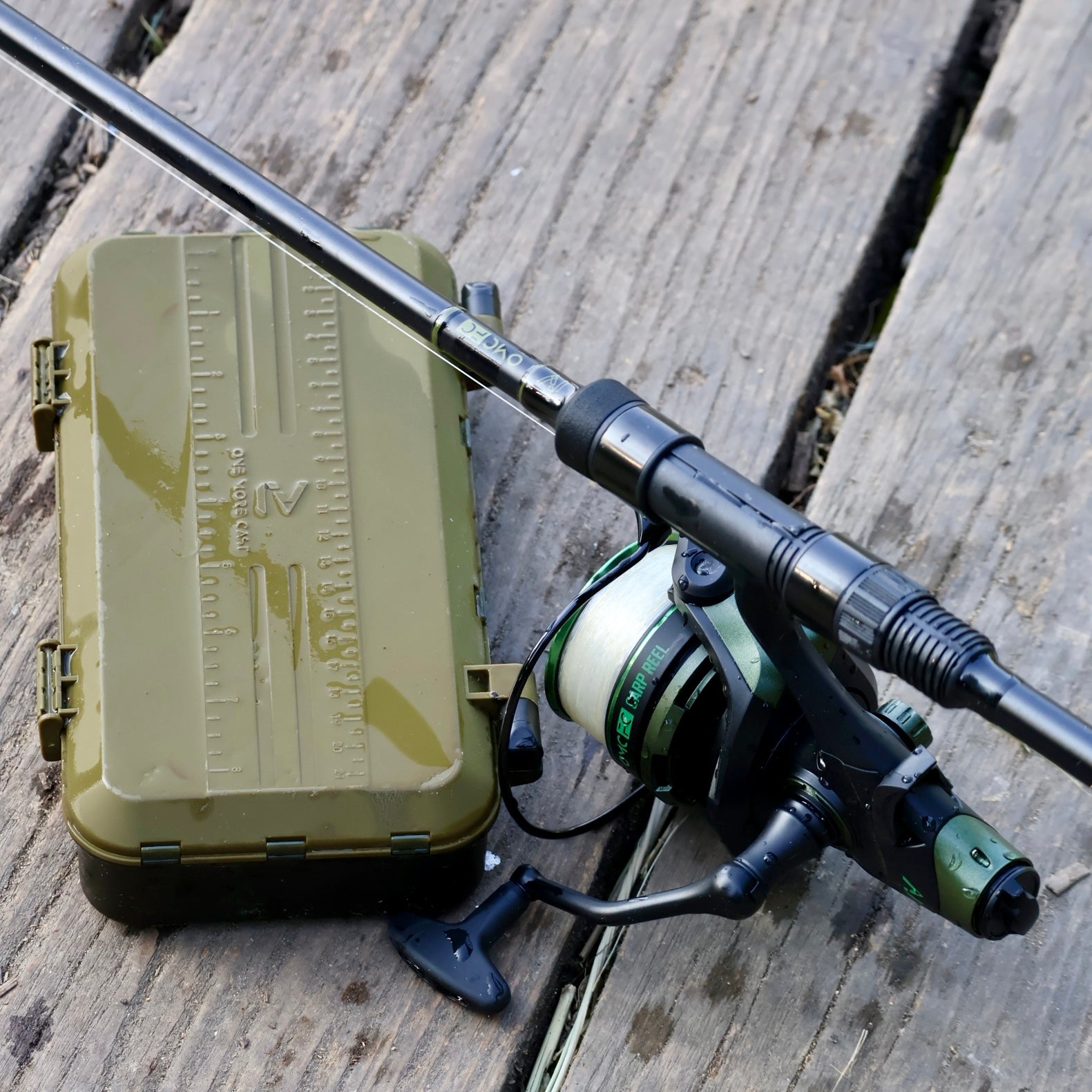 The Starter Carper Bundle