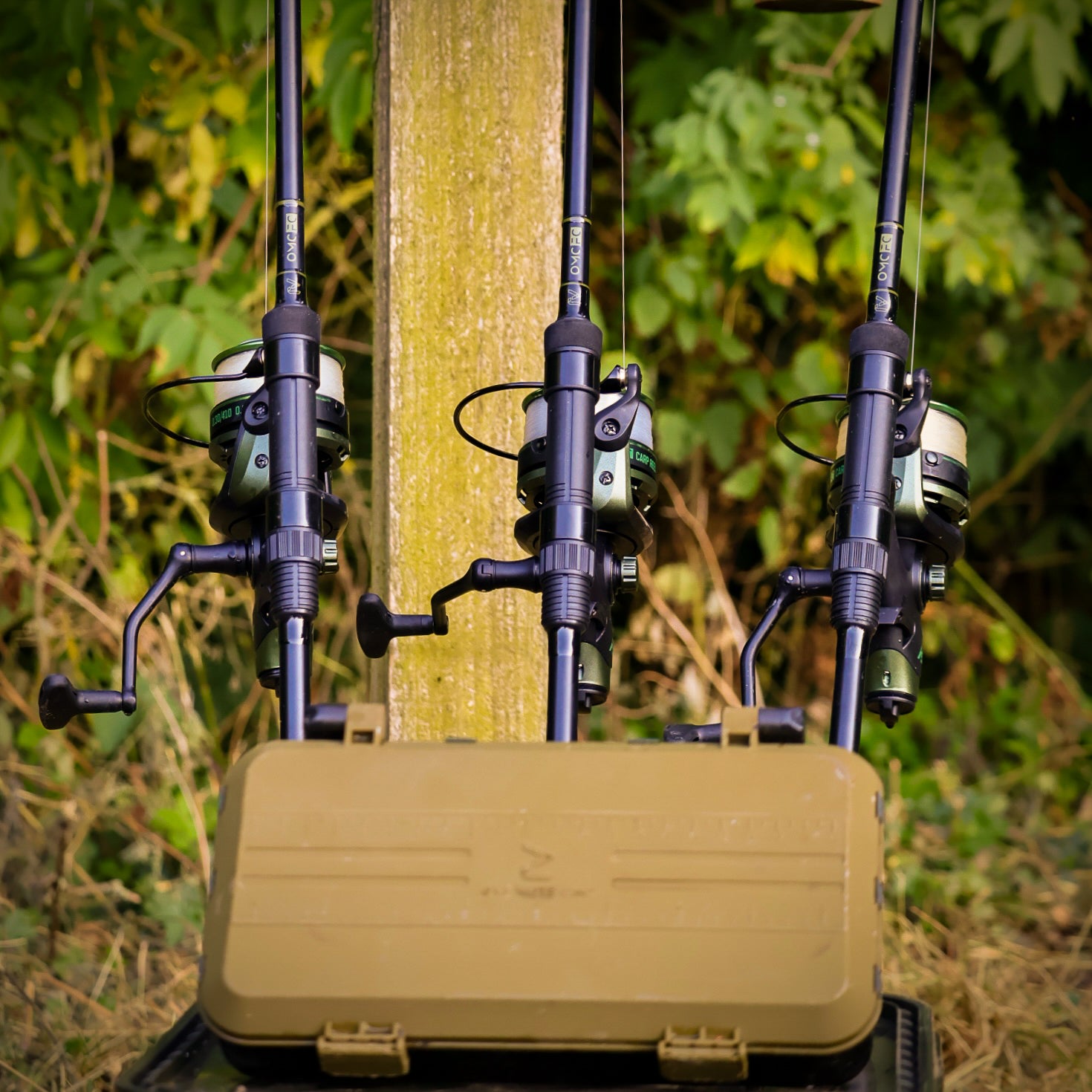 The Starter Carper Bundle – ONE MORE CAST
