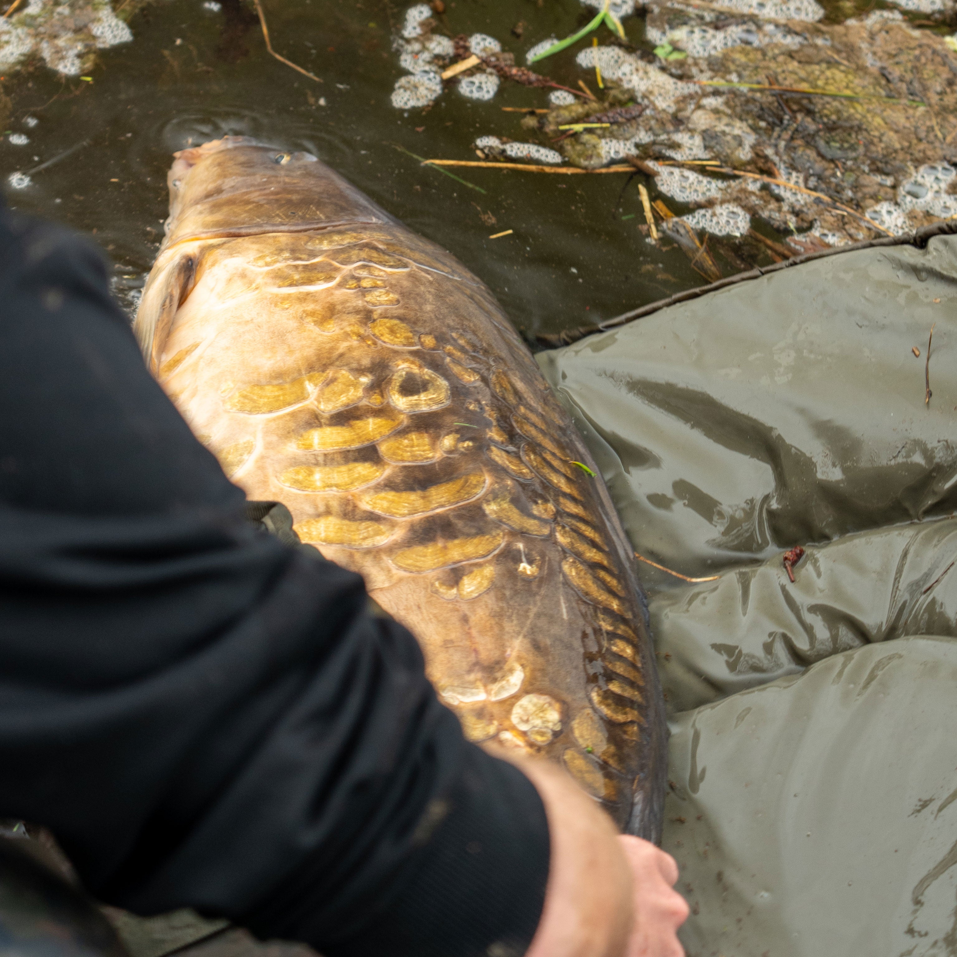 OMC HEIST PB ROLL MAT ONE MORE CAST UNHOOKING CRADLE CARP