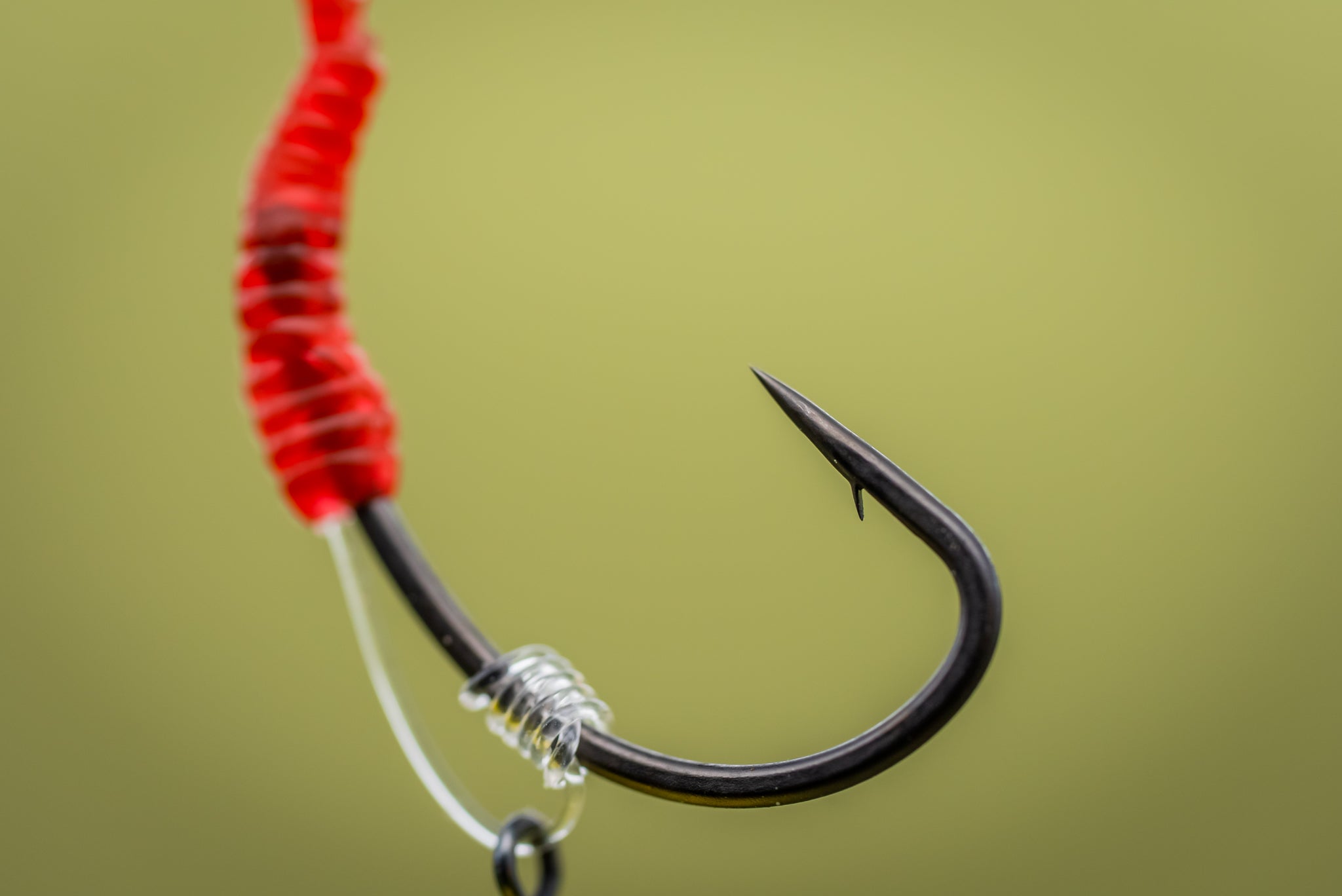 COLNE-V-Surrender-Curve-Hooks