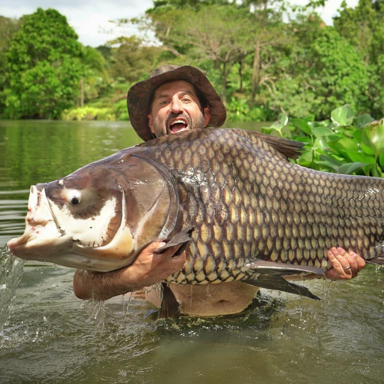 Blend Big Beast Fuse Kevlar Leader 85lbs