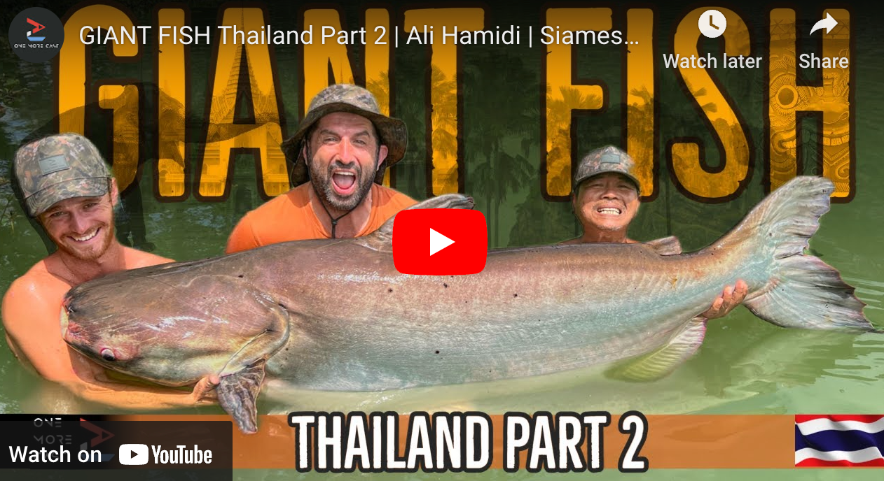 GIANT FISH Thailand Part 2 | Ali Hamidi | Siamese Carp, Mekong Catfish and MORE | One More Cast