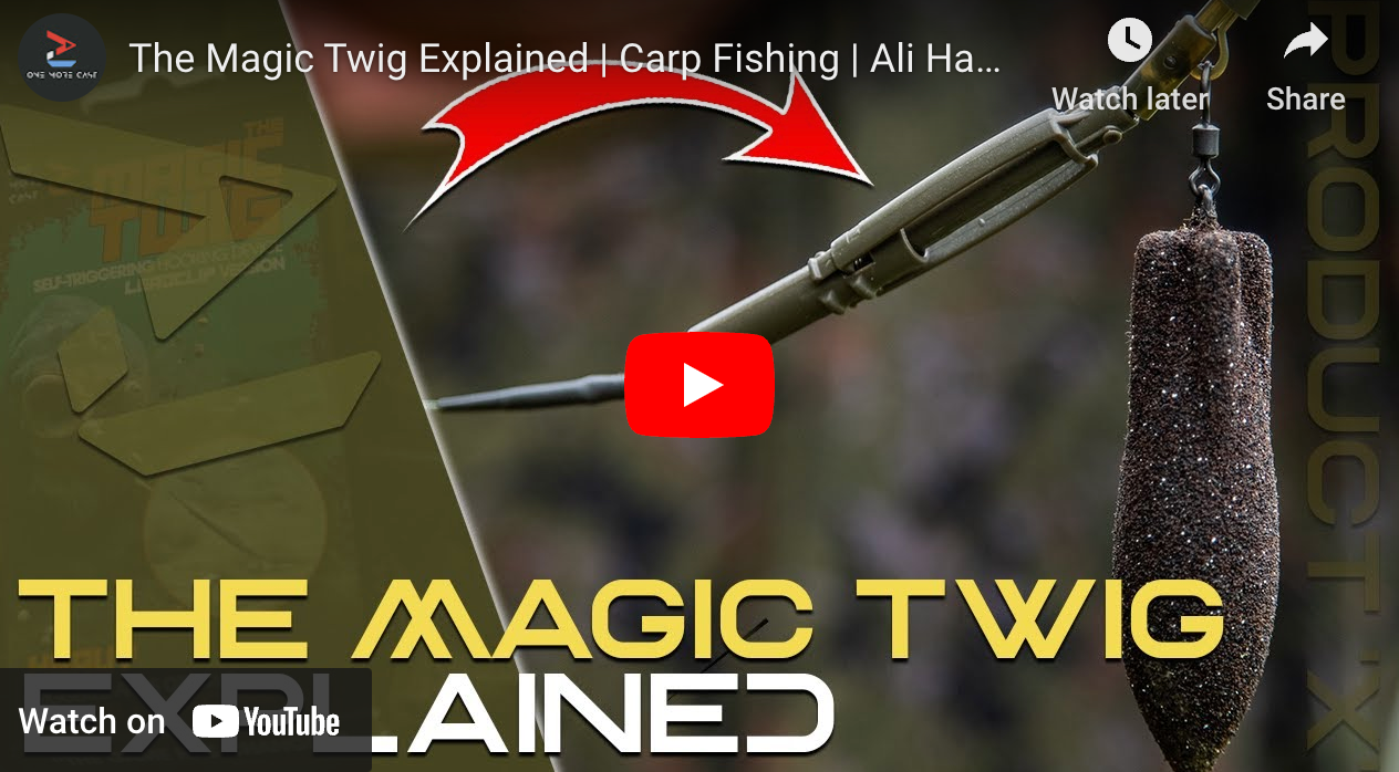 The Magic Twig Explained | Carp Fishing | Ali Hamidi | One More Cast