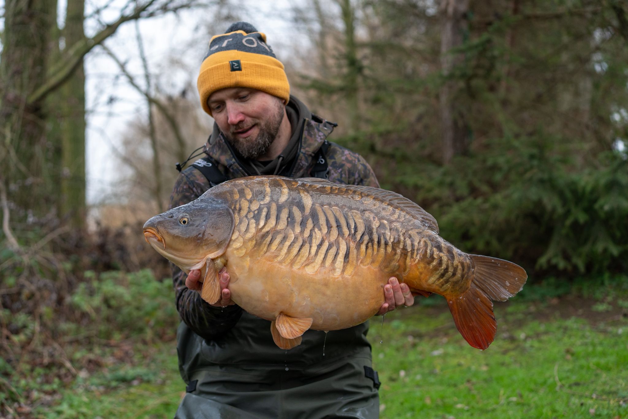 A Giant Winter Carp Haul — From the Margins