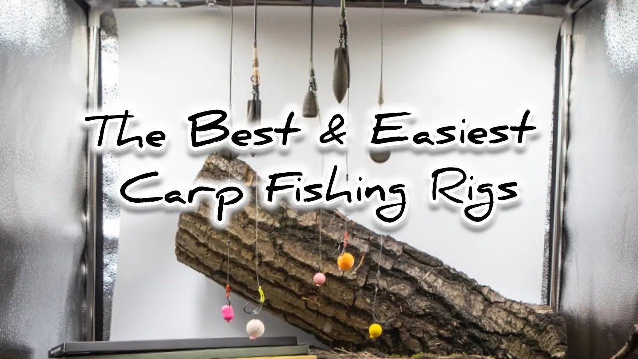 simple carp fishing rigs and tactics