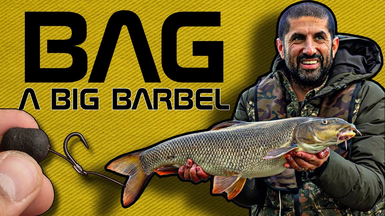 Simple Barbel Rigs A Simple Rig To Bag a Big Barbel | Ali Hamidi – ONE MORE CAST