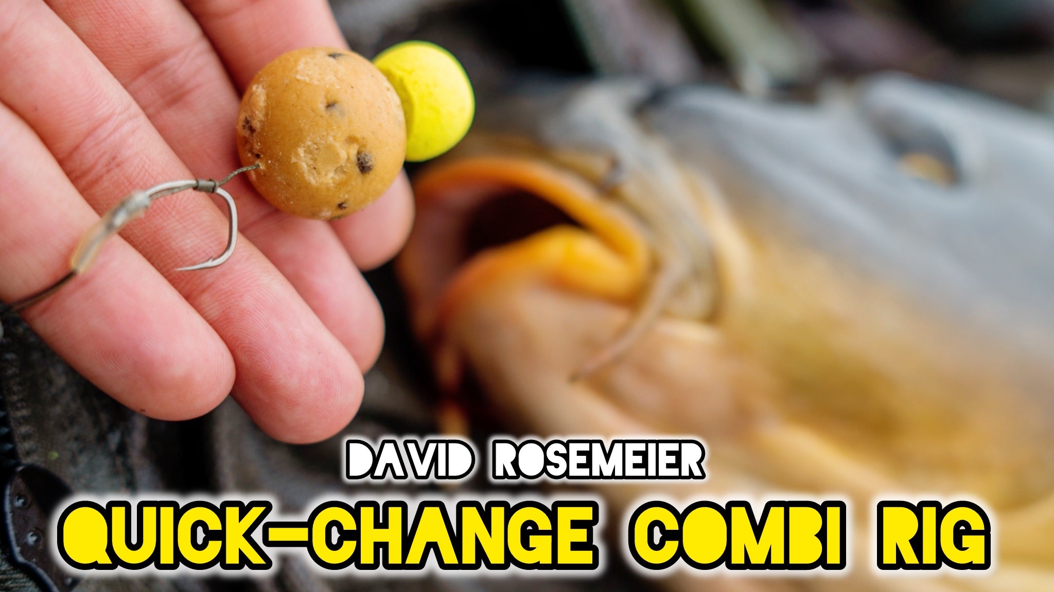 How To Create A Quick-Change Bottom Bait Combi Rig | David Rosemeier ...
