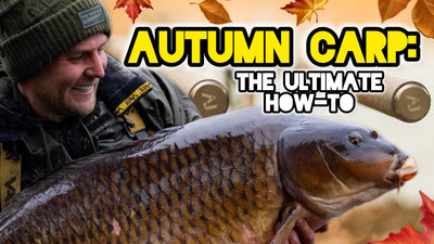 How to Outsmart Autumn Carp: Bait, Rigs & Location Secrets Revealed