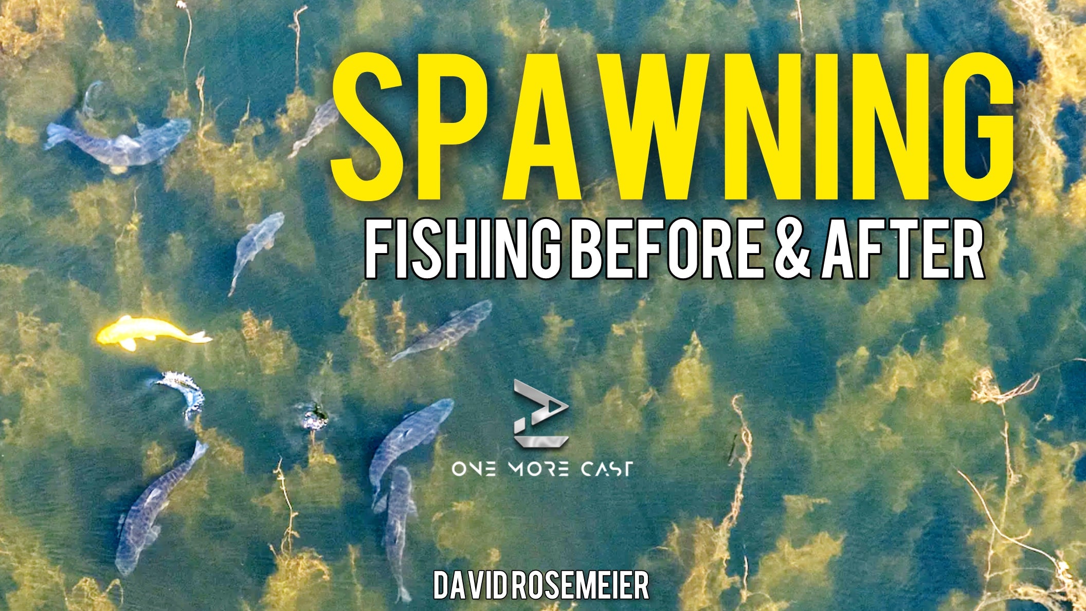 spawning carp fishing advice