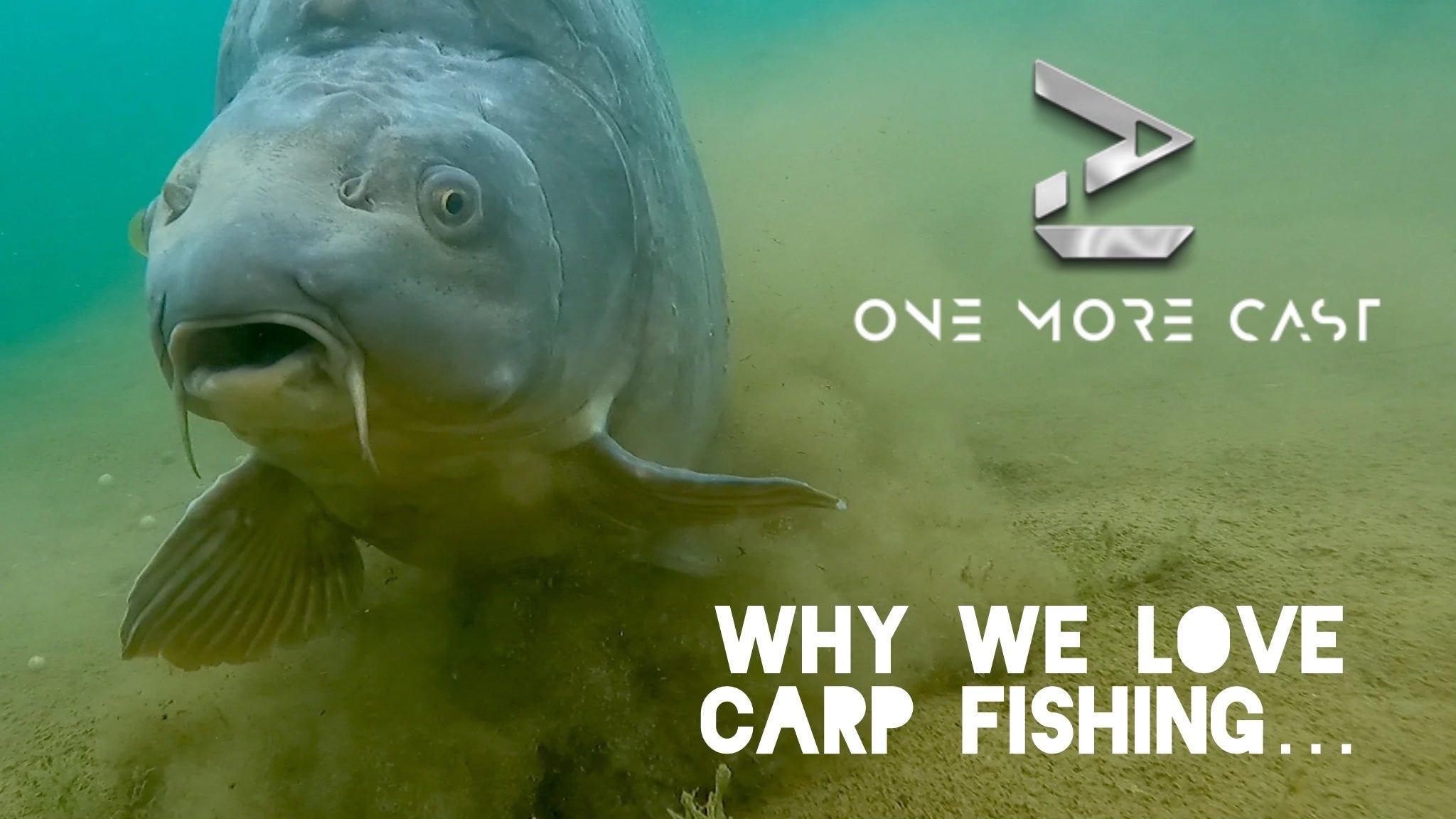 5 Reasons Why You Need To Go Carp Fishing RIGHT NOW! ONE MORE CAST