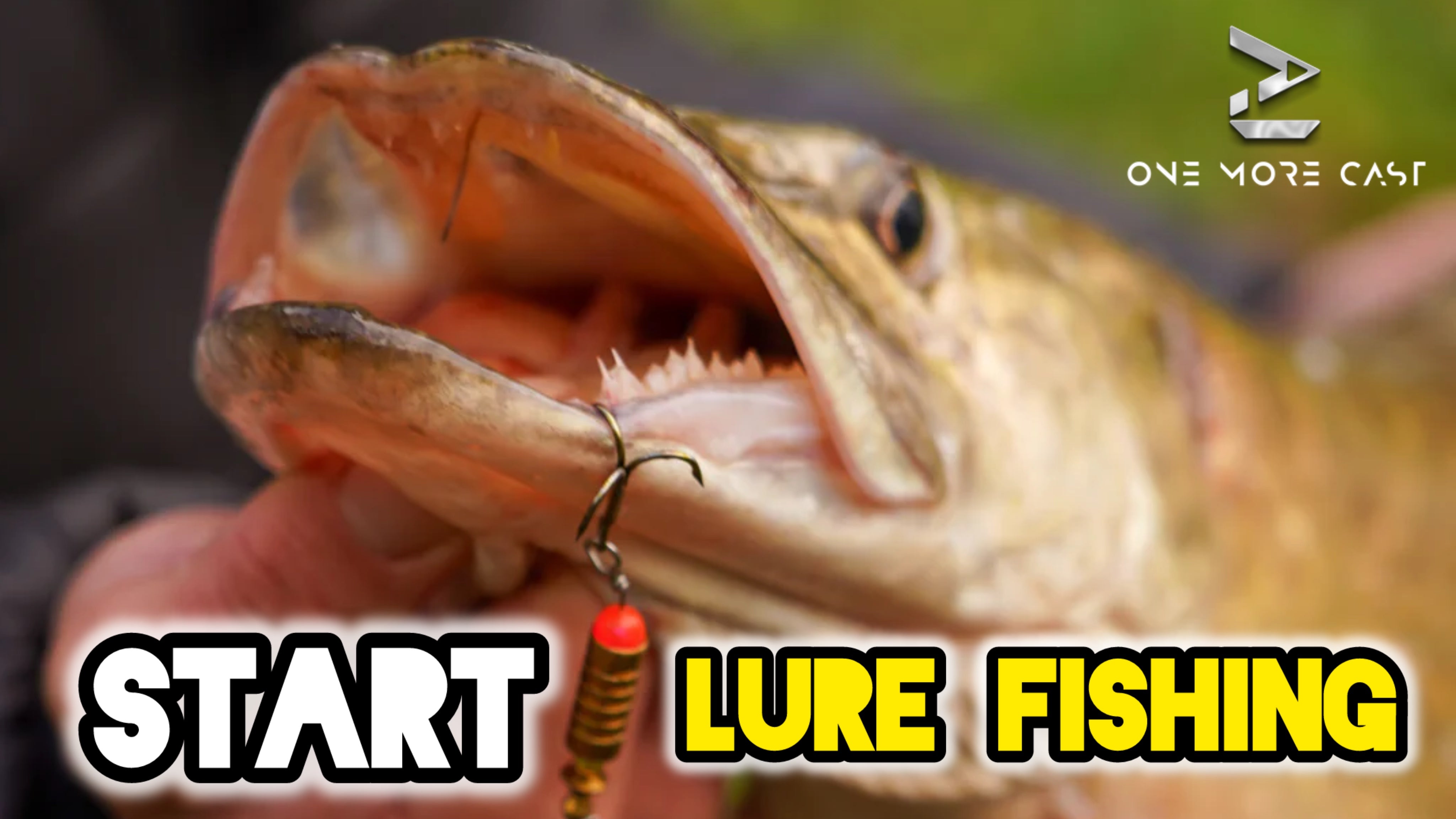 OMC FC Lure Fishing Guide 
