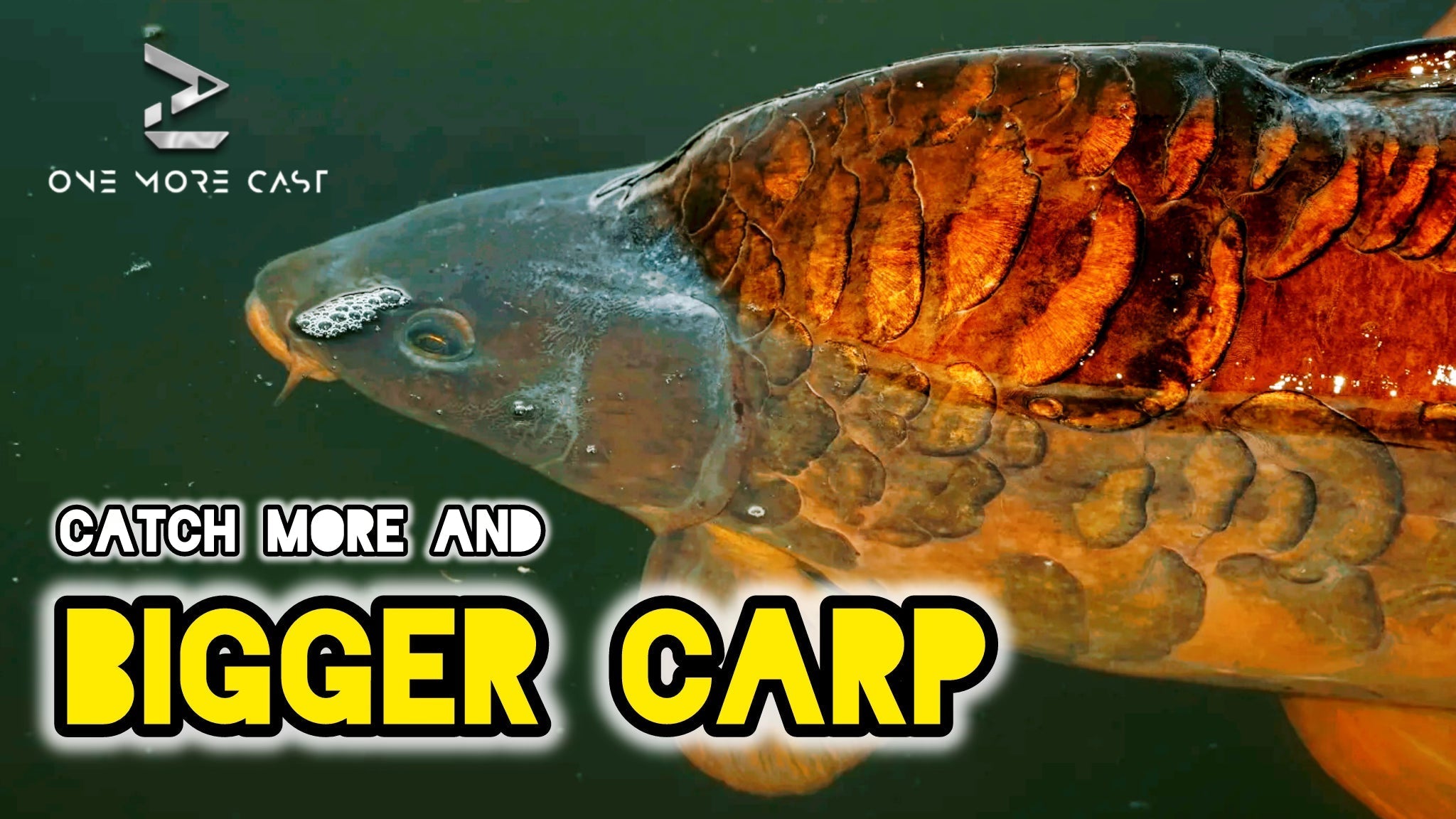 get good at carp fishing