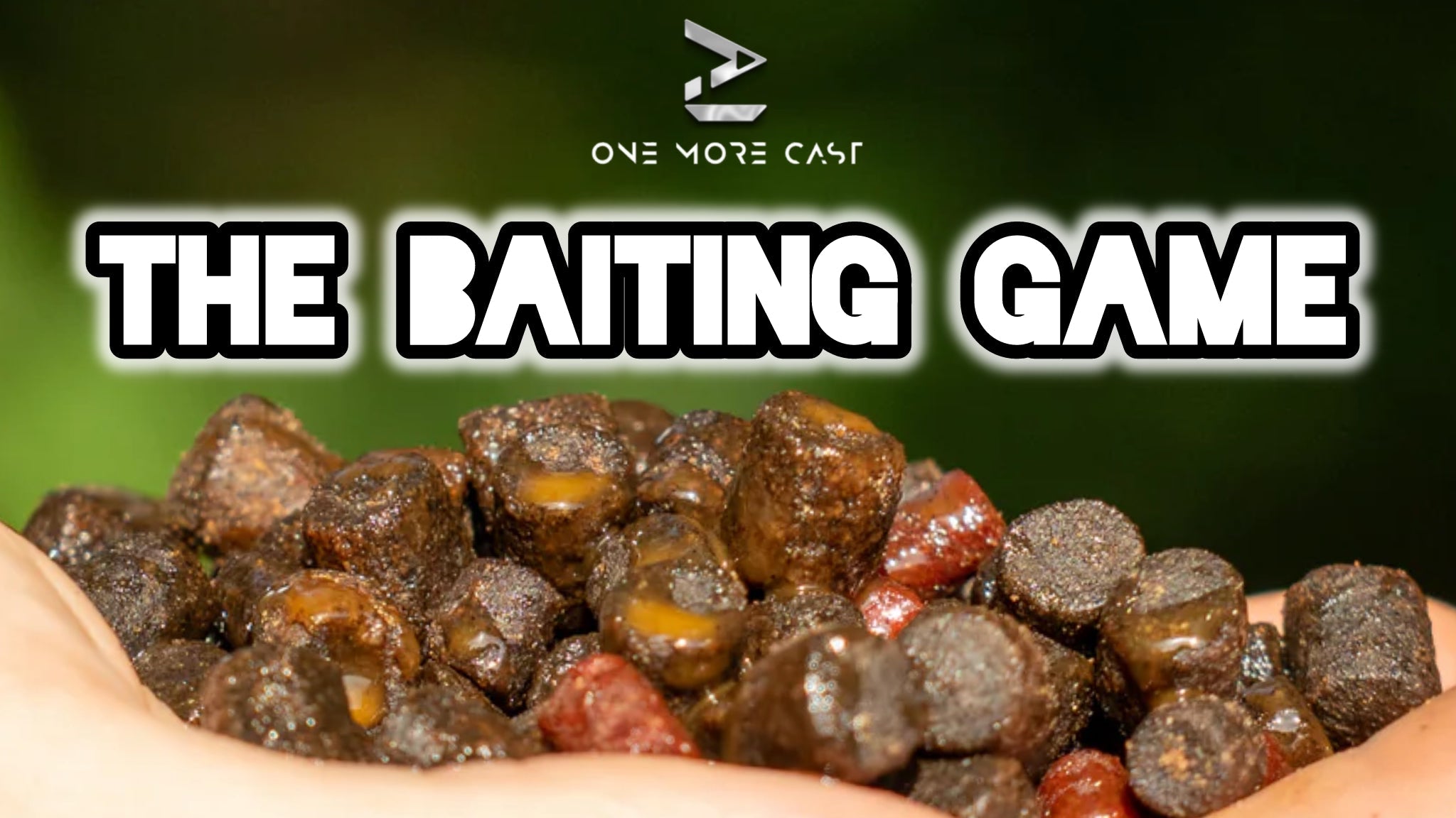 carp fishing baiting theories