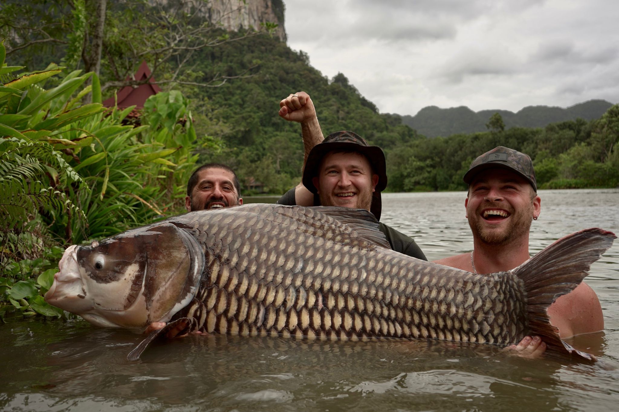 OMC Thailand Big Beast Bundle