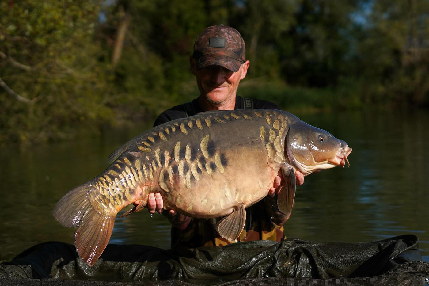 BULK BOILIES DEAL SAVING SAVE ISCREAM PAELLA OMC ONE MORE CAST