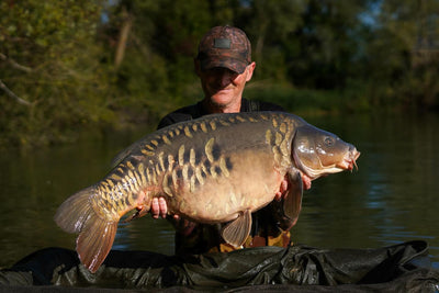 BULK BOILIES DEAL SAVING SAVE ISCREAM PAELLA OMC ONE MORE CAST