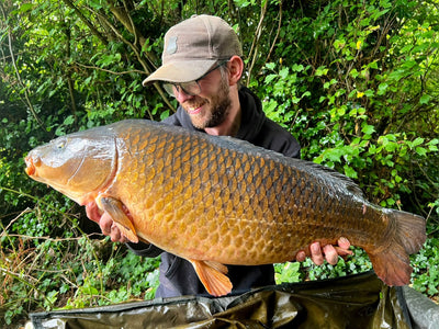 BULK BOILIES DEAL SAVING SAVE ISCREAM PAELLA OMC ONE MORE CAST