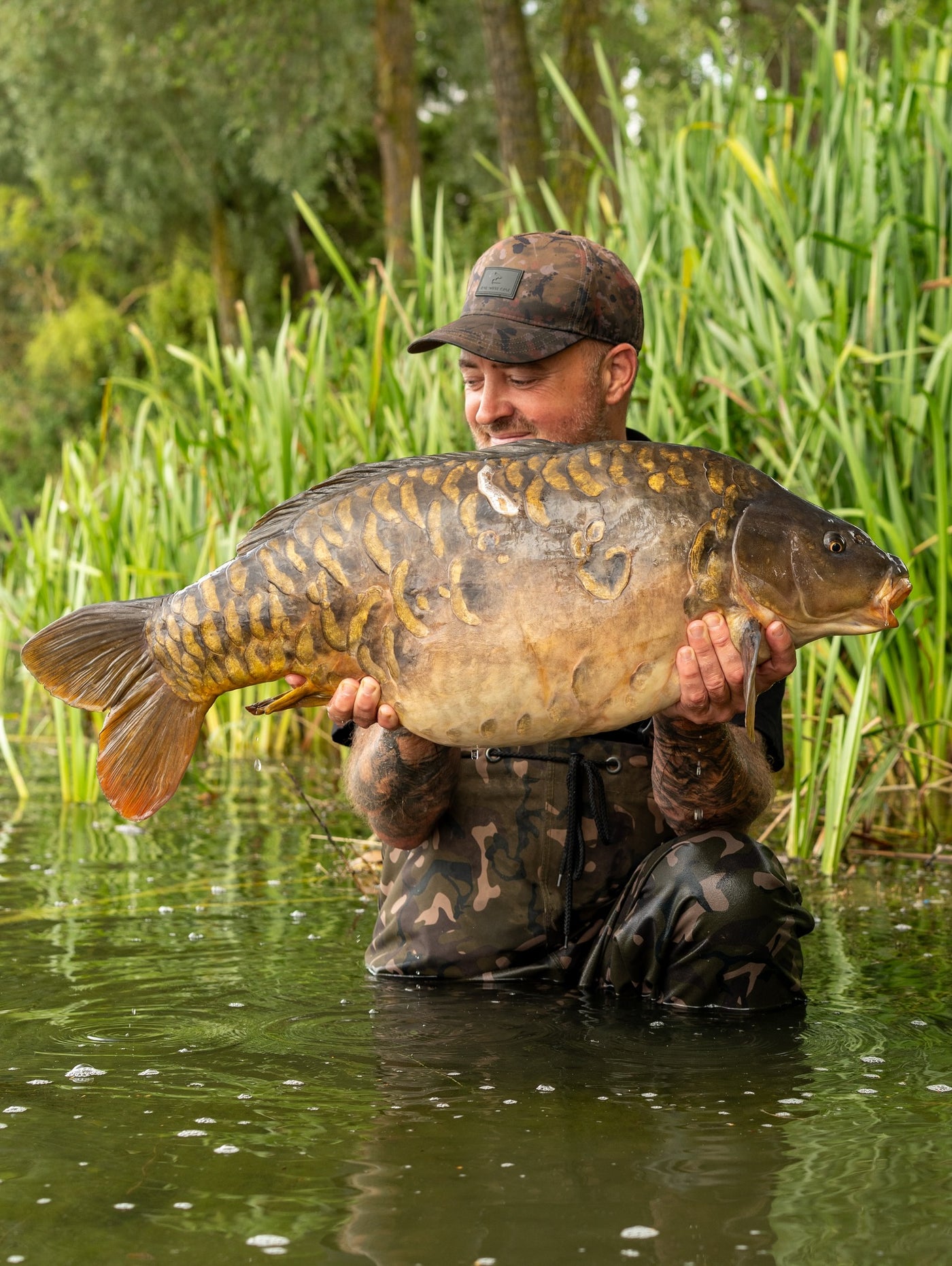 BULK BOILIES DEAL SAVING SAVE ISCREAM PAELLA OMC ONE MORE CAST