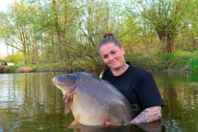 BULK BOILIES DEAL SAVING SAVE ISCREAM PAELLA OMC ONE MORE CAST