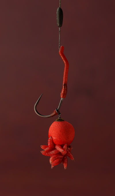 Long Leg Aligner Bloodworm Red