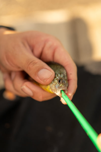 OMC FC Float Fishing Bundle