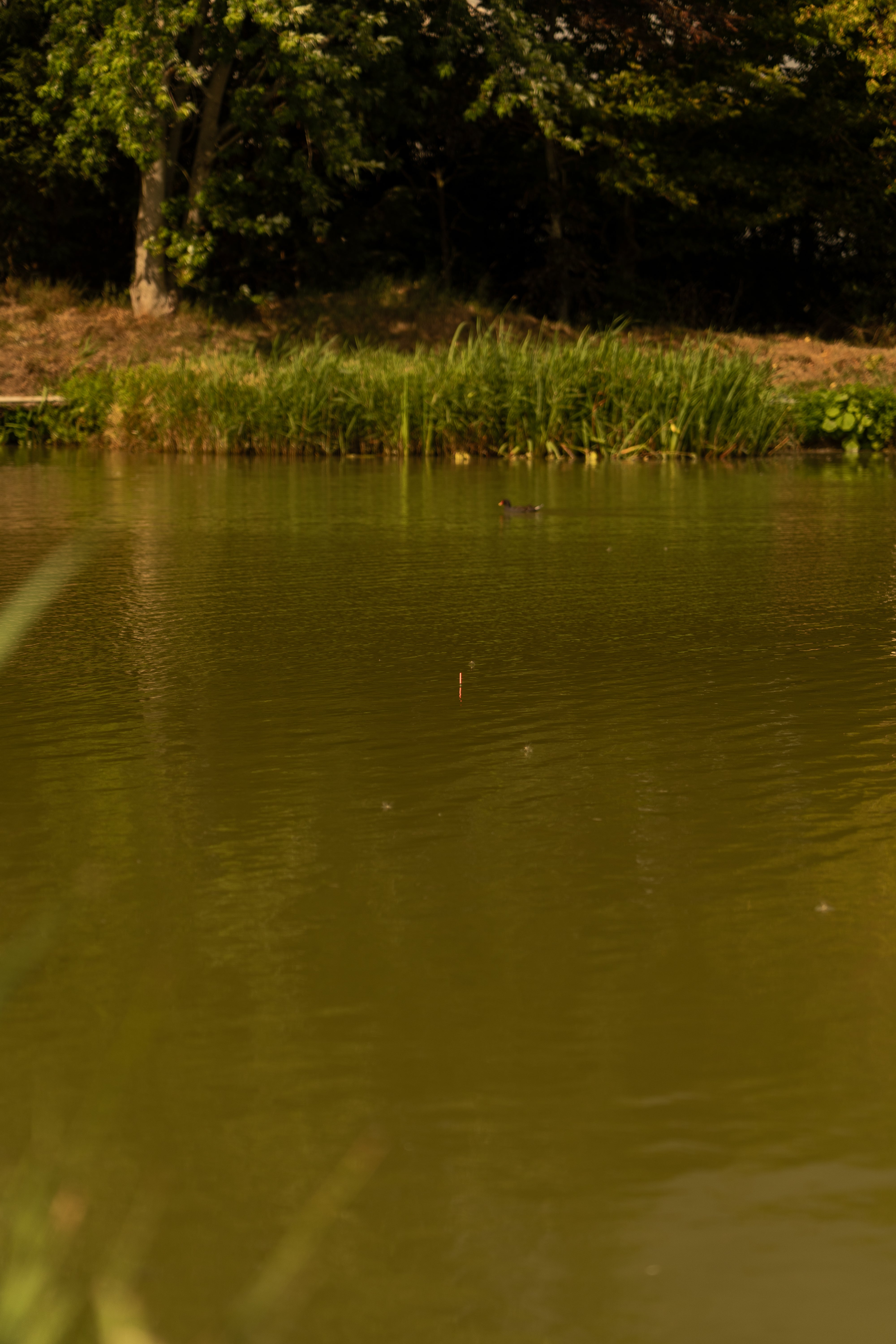 OMC FC Float Fishing Bundle