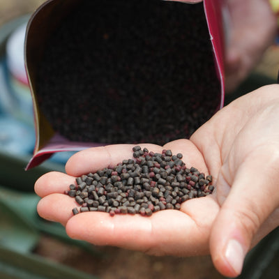 Paella Micro Pellet Mix 1kg
