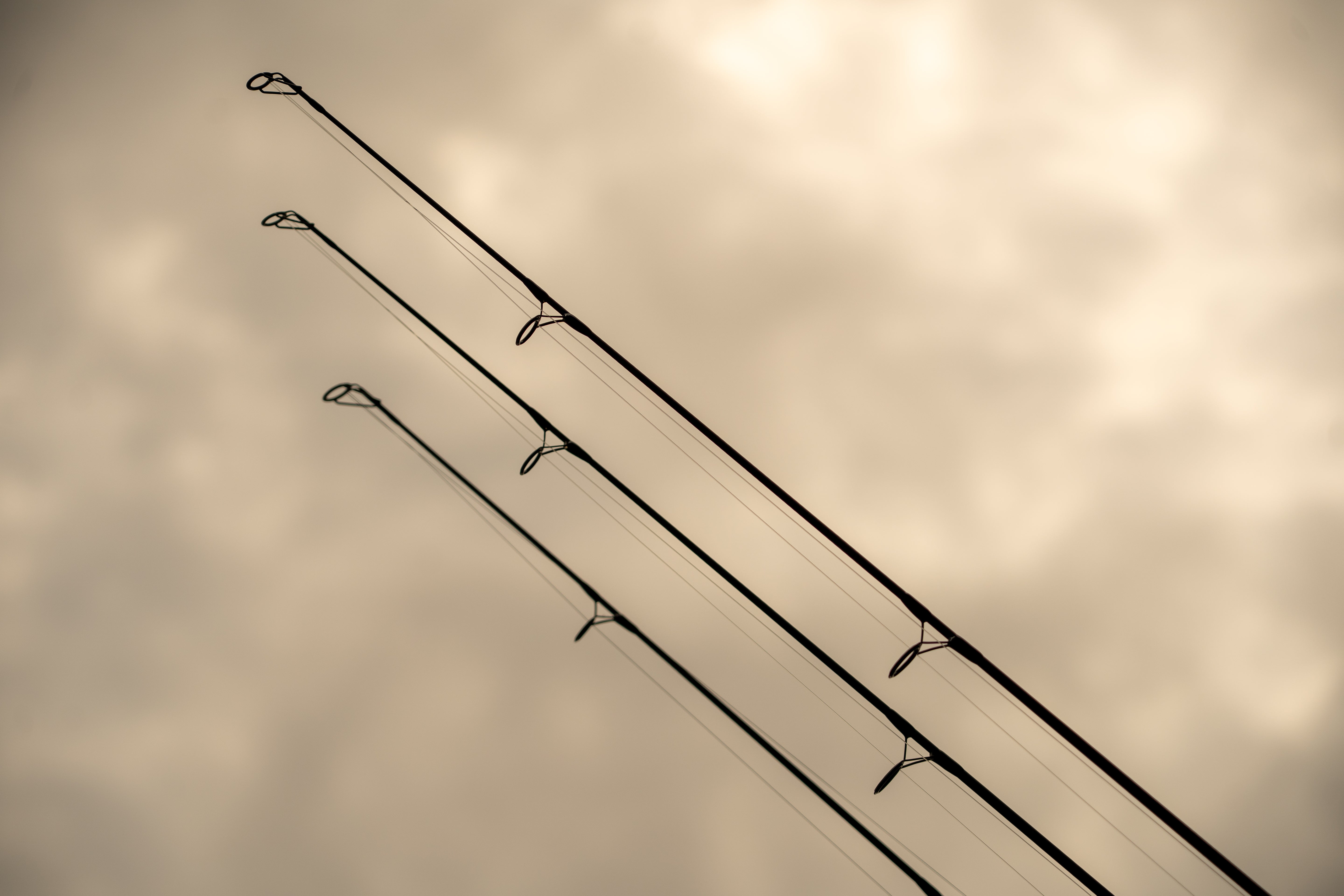 OMC ONE MORE CAST Black Pearl Carp Rod Spod Marker