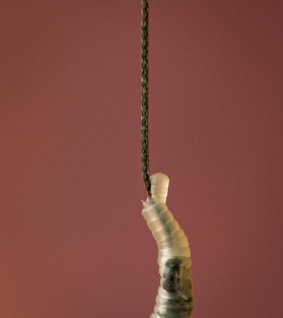 AMMO Camo Braided Hooklink