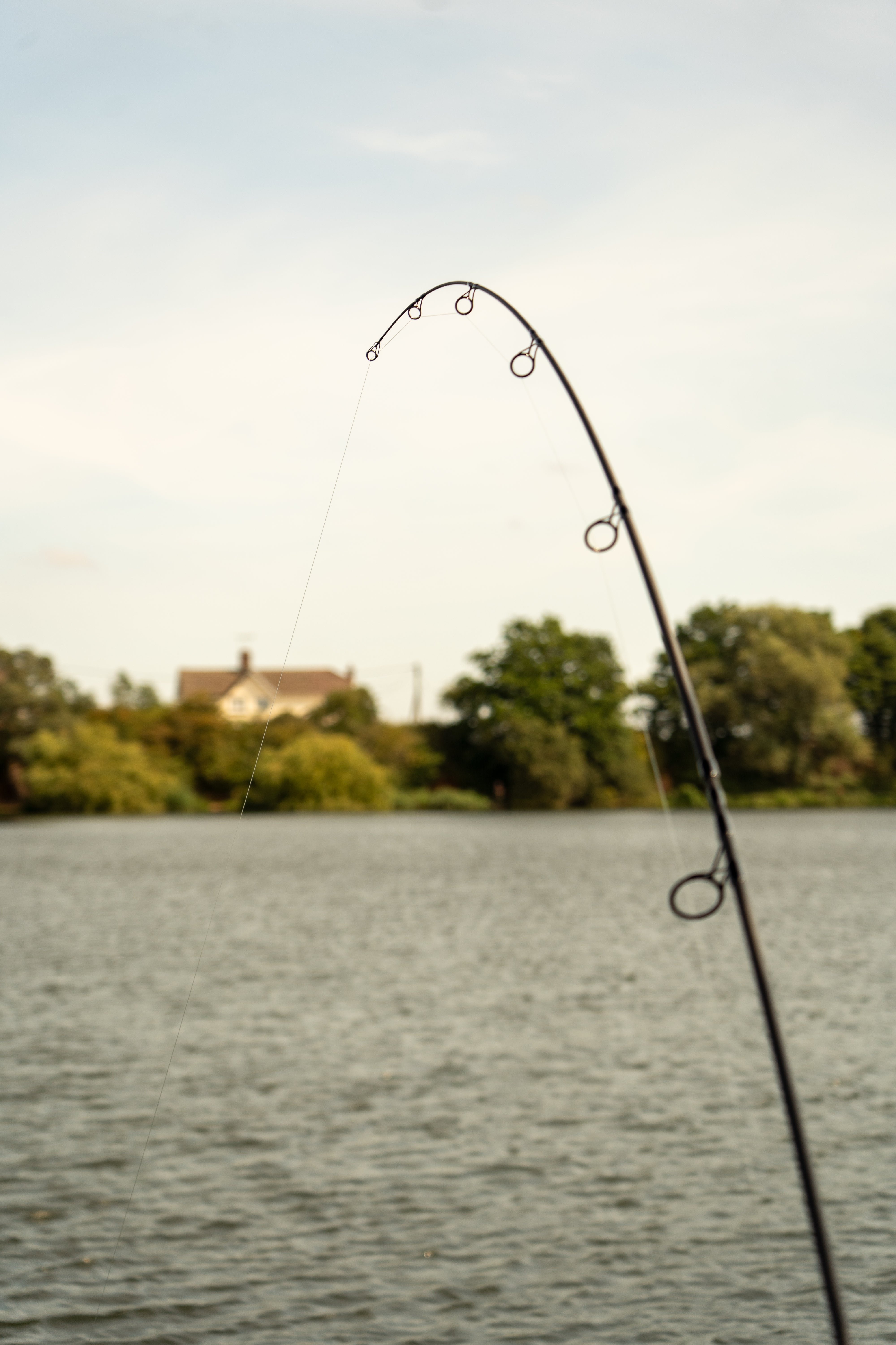 OMC ONE MORE CAST Black Pearl Carp Rod Spod Marker