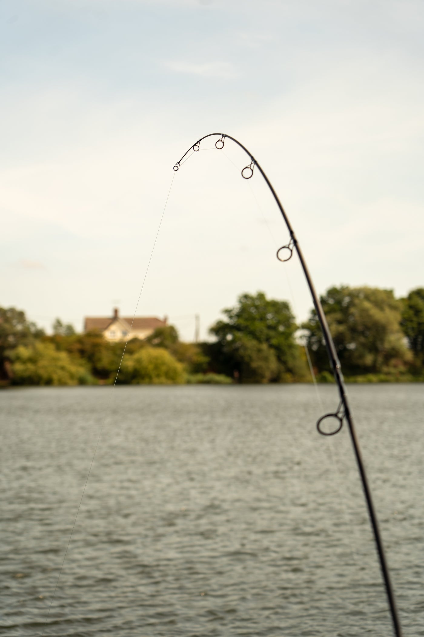 OMC ONE MORE CAST Black Pearl Carp Rod Spod Marker