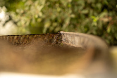 OMC ONE MORE CAST BLACK PEARL LANDING NET 42 CAMO MESH