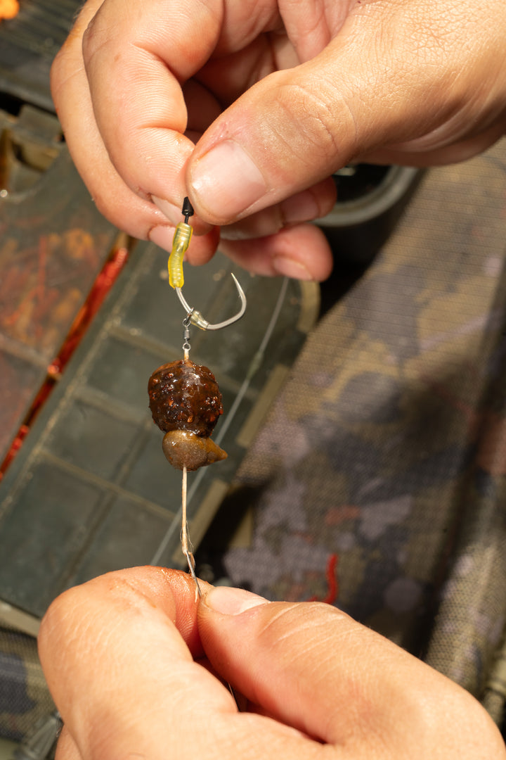 Revibed Escargo – ONE MORE CAST