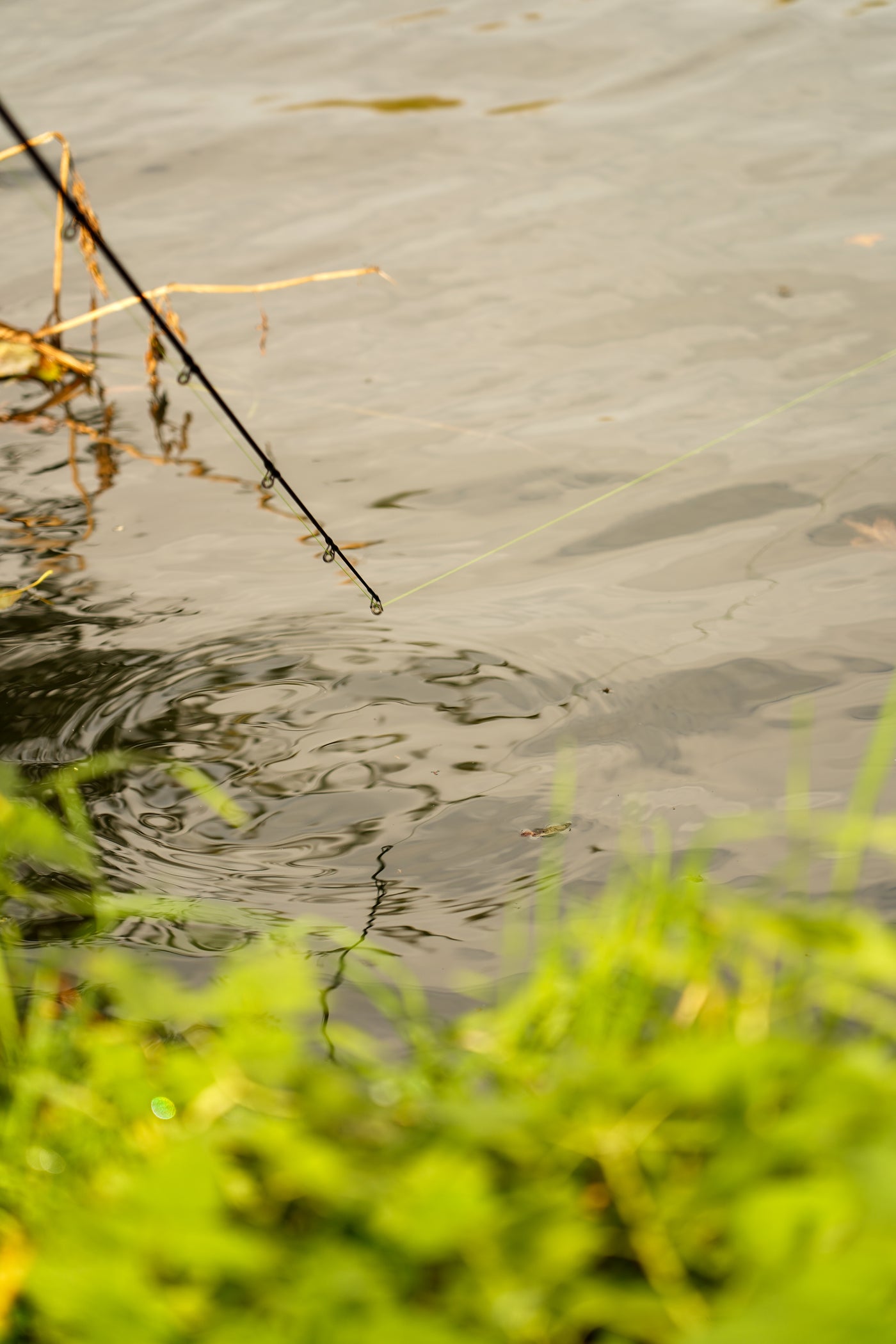 OMC FC LURE SPIN JIG COMBO SPINNER SPINNING BRAID ROD REEL ONE MORE CAST