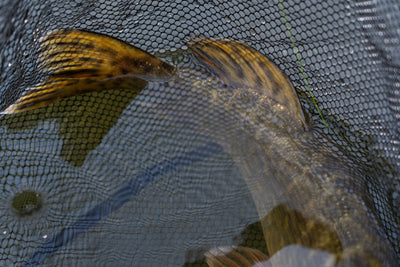 OMC FC Net & Mat Combo